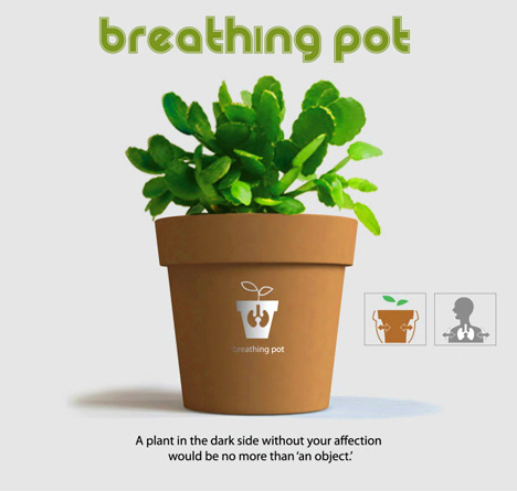呼吸植物需要注意