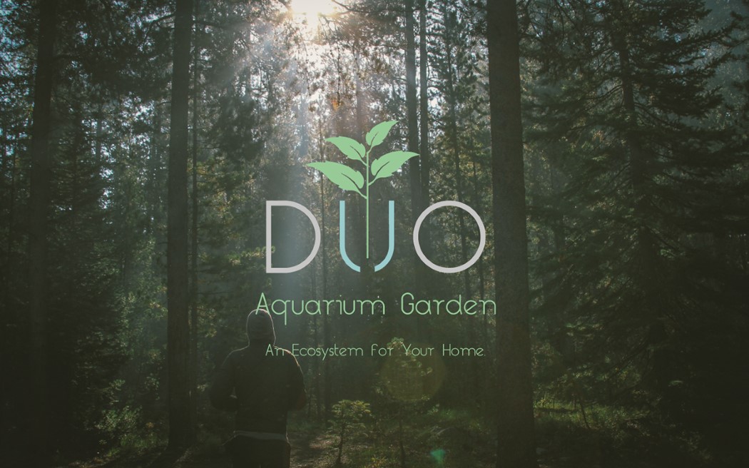 duo_aquarium_1
