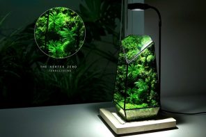 这款玻璃玻璃玻璃玻璃露面突破了生物不活性的苔藓，在没有保养的情况下创造室内花园！