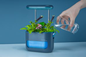 Kickstarter的微小浇水草本植物较大，设计更大，设计更好