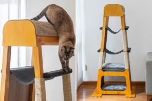 这个木制的猫塔可以让你的猫娱乐几个小时，并融入现代客厅!