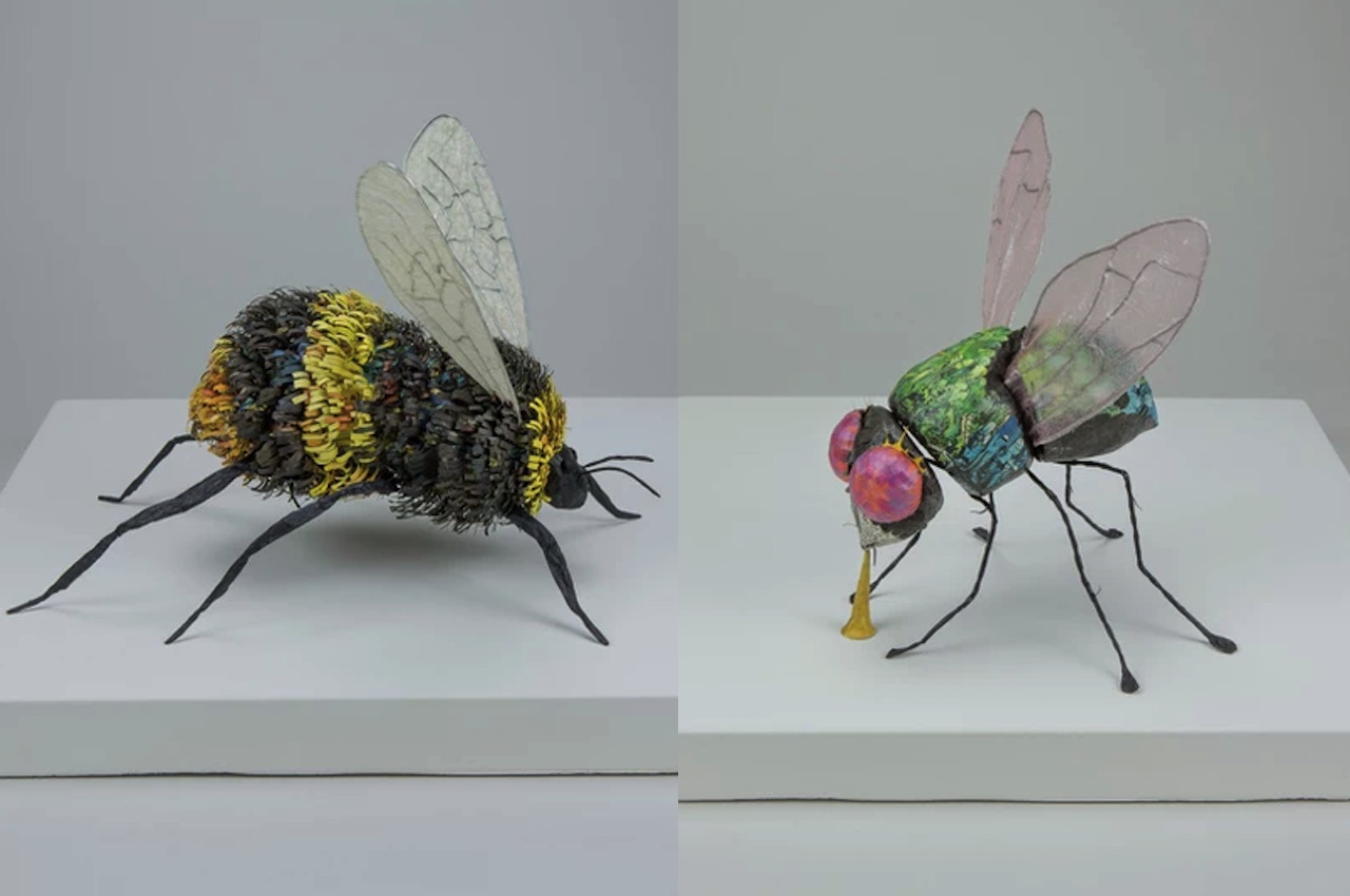 塞西莉亚列维纸雕塑昆虫收藏