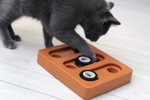 Adorable Pet-Feeder Designed Like a Sushi-Tray Has Your Furry Friend Working for Their Treats