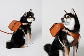 日元Quirky包设计师创建了这些时尚皮革背包以提升狗风格